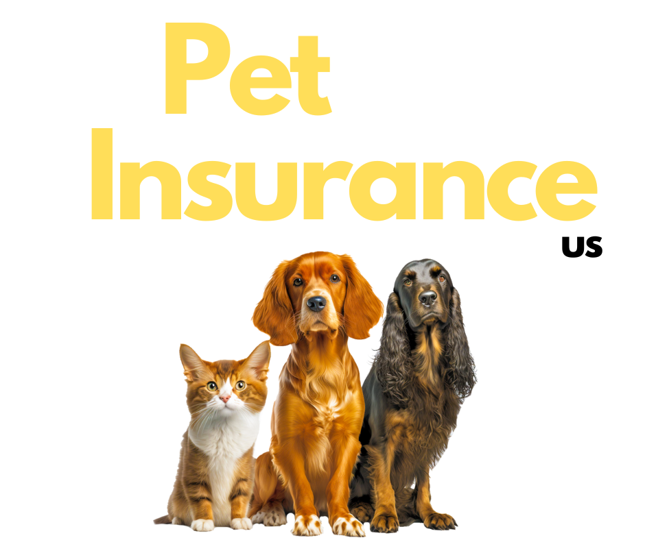 Pet Insurance